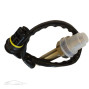 Bentley Arnage Pre Cat Lambda Sensor Oxygen Sensor PB20364PA