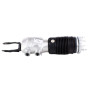 Bentley Continental GT Right Front Air Strut Shock Absorber 975616038C